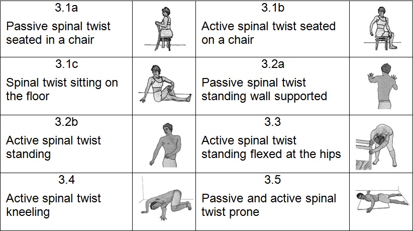 Seated Spinal Twist to Increase Mobility – Dorsumtech