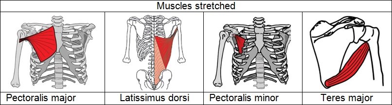 uhd_tissues